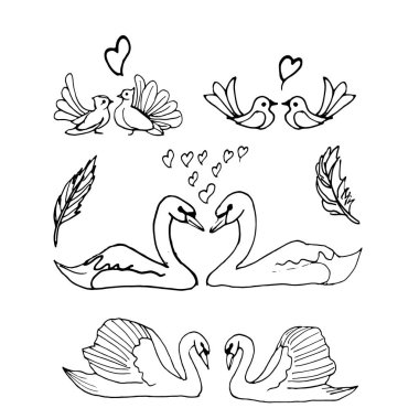 Güvercin ve kuğu çiftleri el çizilmiş doodle seti. Davet, tebrik kartı için mükemmel