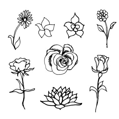Elle çizilmiş doodle çiçek seti. Davet için mükemmel