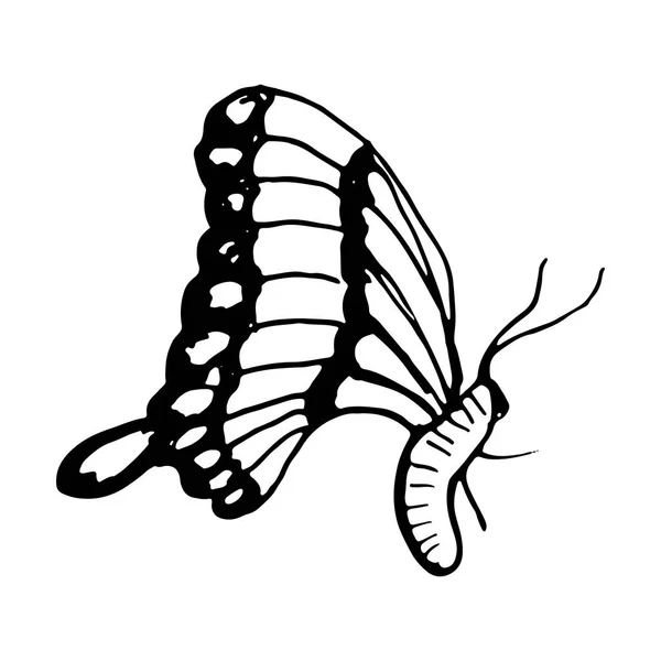 Scarabocchio disegnato a mano butterfly.Perfect per invito, biglietto di auguri — Vettoriale Stock