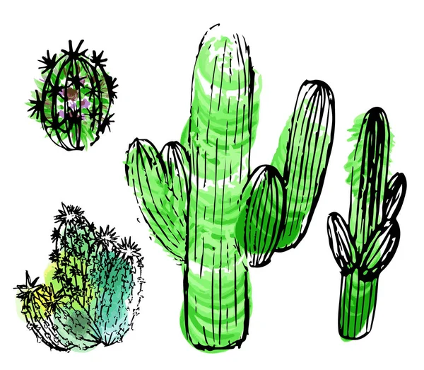 Conjunto de cactos dibujados a mano — Vector de stock