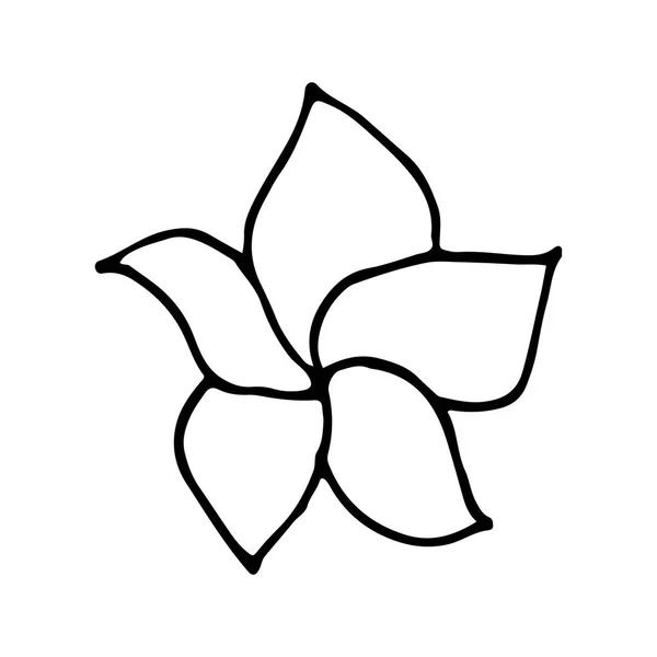 Dibujado a mano doodle flower.Perfect para la invitación — Archivo Imágenes Vectoriales