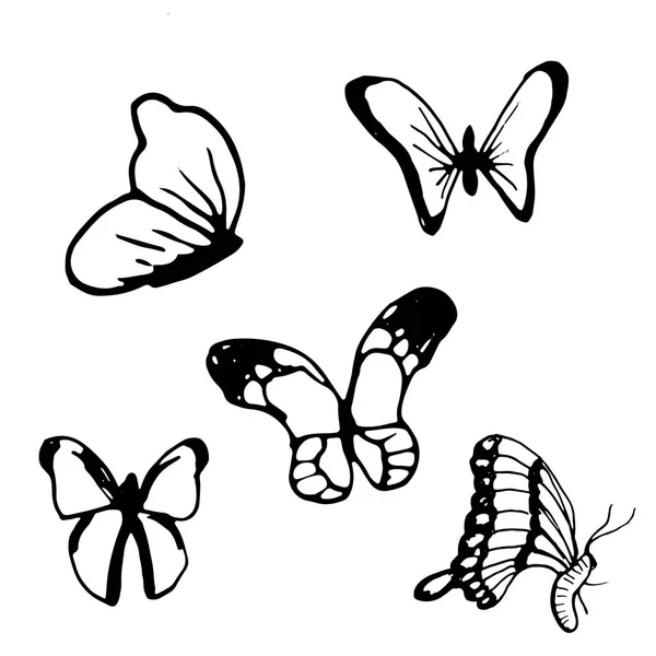 Set de borboleta de doodle desenhado à mão. Perfeito para convite — Vetor de Stock