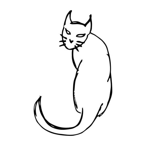 Zwarte kat hand tekenen — Stockvector