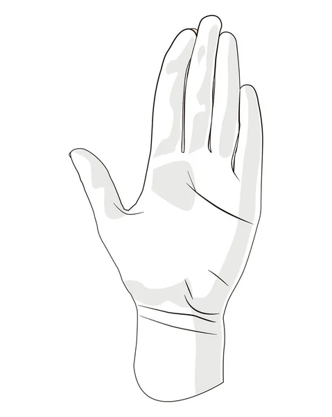 Femme paume vers le haut main . — Image vectorielle