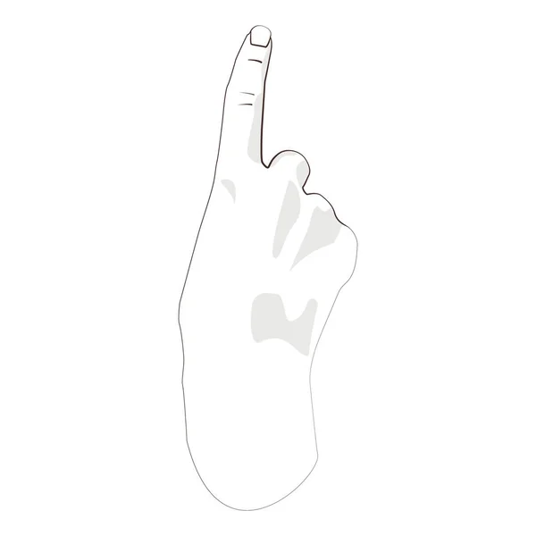 Woman hand touching virtual screen or pointing to something isolate on white background. Vector illustration. — 스톡 벡터