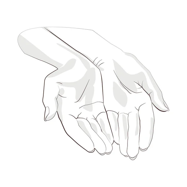 Paire de mains de caractère avec paume exposée, demande ou don . — Image vectorielle