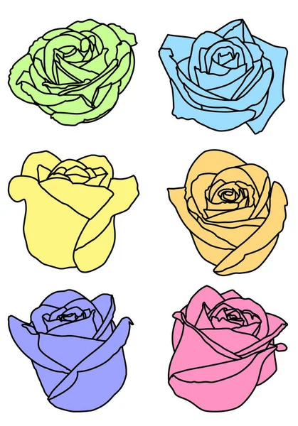 여섯 가지 색상의 장미 꽃 봉오리를 설정 — 스톡 벡터