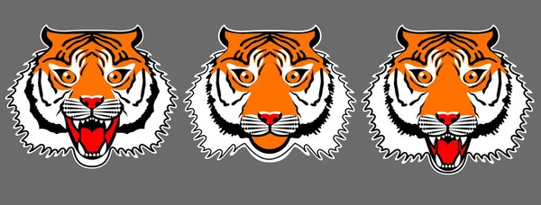 Conjunto de tigres con boca abierta y cerrada . — Vector de stock