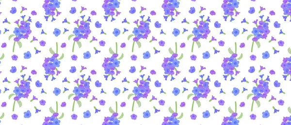 Motif avec des fleurs de Pulmonaria. Pulmonaria fleurs de morelle . — Image vectorielle