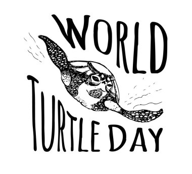 siyah çizgiler bir deniz yüzme kaplumbağası kroki.