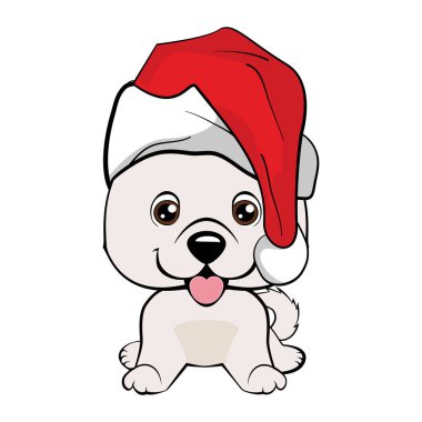 Kırmızı saçlı mutlu köpek beyaz yakalı kırmızı ceketli ve beyaz arka planda beyaz bir pompon ile kırmızı şapkalı.
