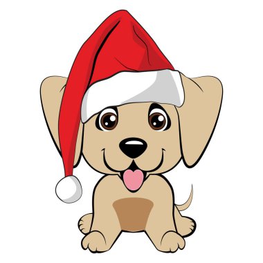 Kırmızı saçlı mutlu köpek beyaz yakalı kırmızı ceketli ve beyaz arka planda beyaz bir pompon ile kırmızı şapkalı.