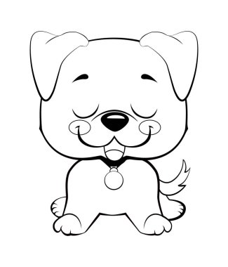 İzole renkli baş ve beyaz arka plan üzerinde mutlu labrador retriever yüzü.