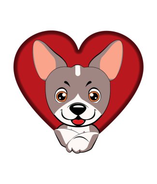 köpek bir delikten çıktı. köpek Amerikan Çıplak Terrier