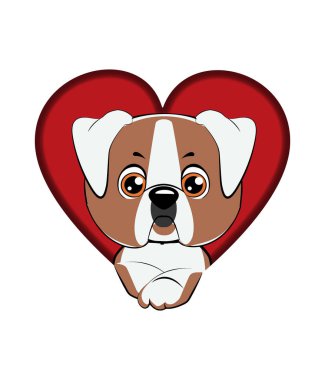 köpek bir delikten çıktı. amerikan bulldog köpek yavrusu.