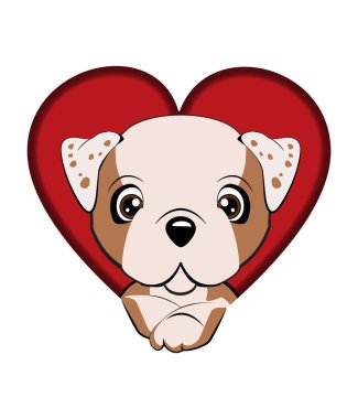 köpek bir delikten çıktı. İngiliz bulldog