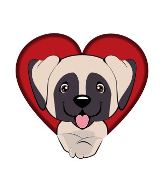 İngiliz Mastiff. köpek bir delikten çıktı