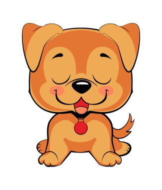 Izole renkli baş ve mutlu labrador retriever yüzü