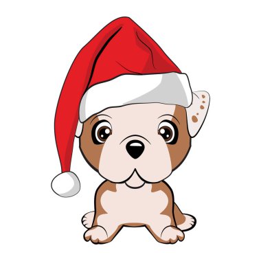 Kırmızı saçlı mutlu köpek beyaz yakalı kırmızı ceketli ve beyaz arka planda beyaz bir pompon ile kırmızı şapkalı.