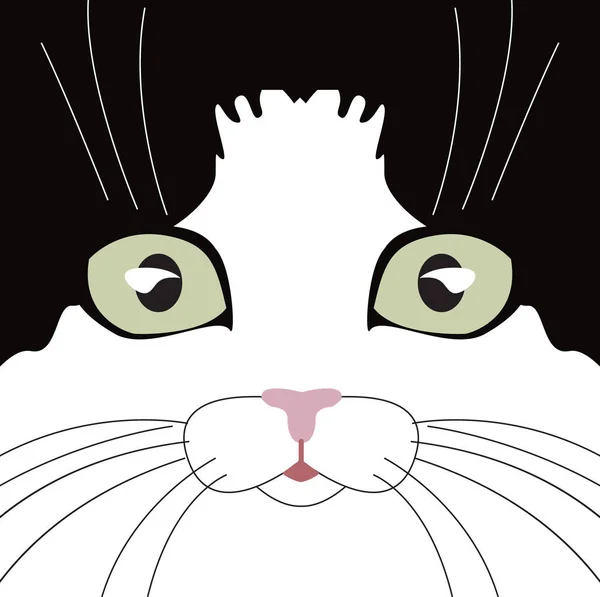 Schnauze einer schwarz-weißen Katze mit grünen Augen — Stockvektor