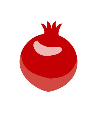 Nar tasarım sulu taze meyve simge vektör şablonu