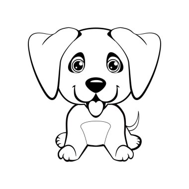 Beyaz arka planda Arap tazısı.