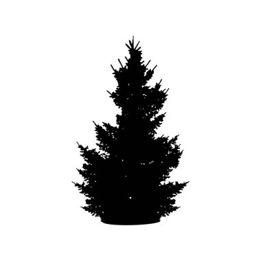 bir Noel ağacı silüeti