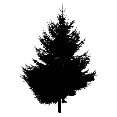 bir Noel ağacı silüeti