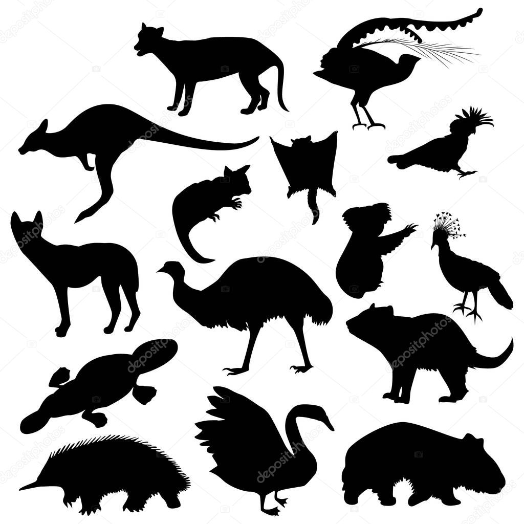 australian animals black silhouettes
