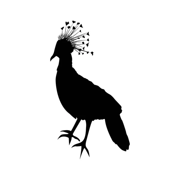 Silhouette de pigeon couronné — Image vectorielle