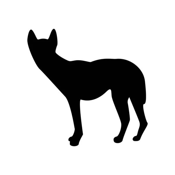 Dingo-Hund Silhouette eines australischen Tieres — Stockvektor