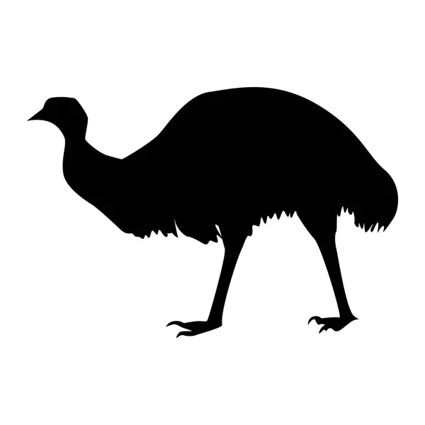 Silhouette émeu d'un animal australien — Image vectorielle