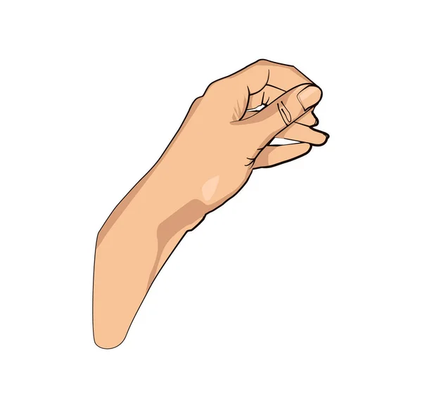 Жіноча рука тримається в пальцях — стоковий вектор