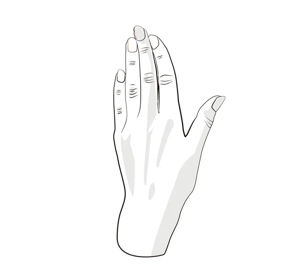Woman hand back side. Flat vector stock illustration — 스톡 벡터