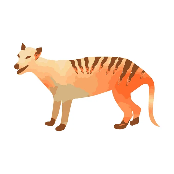 Marsupialny wilk lub thylacin sylwetka z pomarańczową i brązową teksturę akwareli — Wektor stockowy