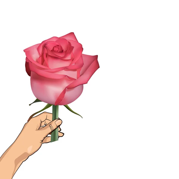 Rosa rosa in mano . — Vettoriale Stock