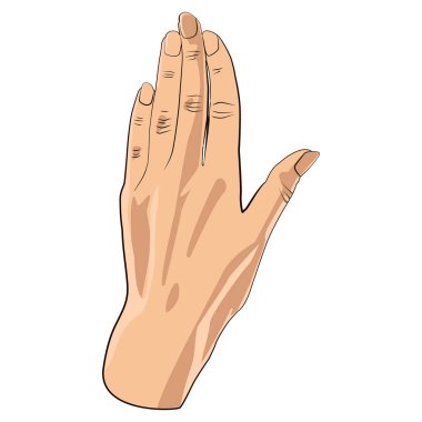 Kadın arka tarafı. Beyaz arka plan üzerinde izole. Hisse senedi düz vektör çizim