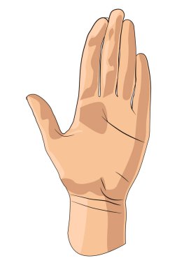 Kadın avuç içi. vektör illüstrasyon.