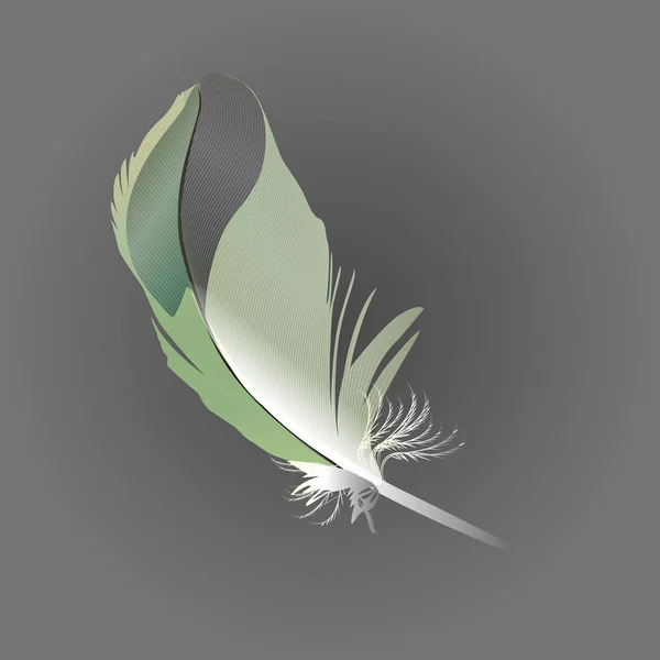 Kolorowe szczegółowe zielony ptak pióro — Wektor stockowy