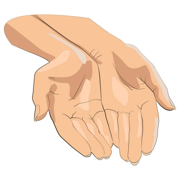 Carattere coppia di mani con palmo esposto, richiesta o donazione . — Vettoriale Stock
