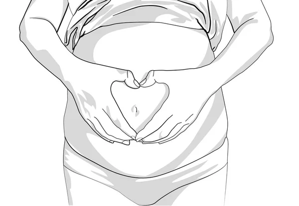 Mulher grávida segurando suas mãos em uma forma de coração em sua colisão bebê. barriga grávida com os dedos Símbolo do coração. —  Vetores de Stock