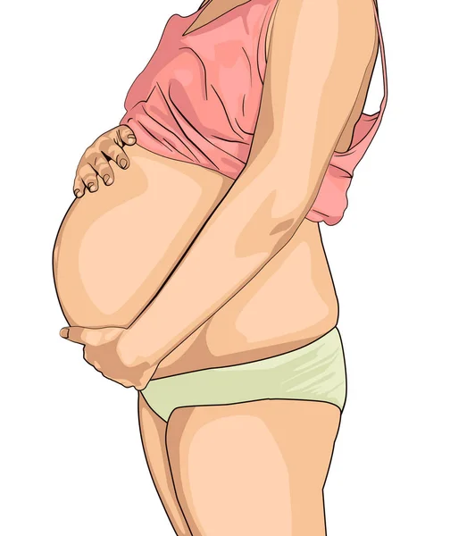 Femme enceinte touchant son ventre isolé sur blanc. Une jeune femme attend un bébé. ventre enceinte mignon . — Image vectorielle