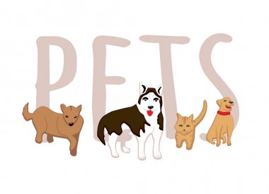 Beyaz arka planda izole edilmiş köpekler ve kedi