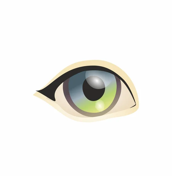 Oko Bílém Pozadí Oči Umění Ženské Oko Oči Umění Lidské — Stock fotografie