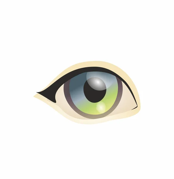 Eye White Background Eyes Art Woman Eye Eyes Art Human — Stock Photo, Image