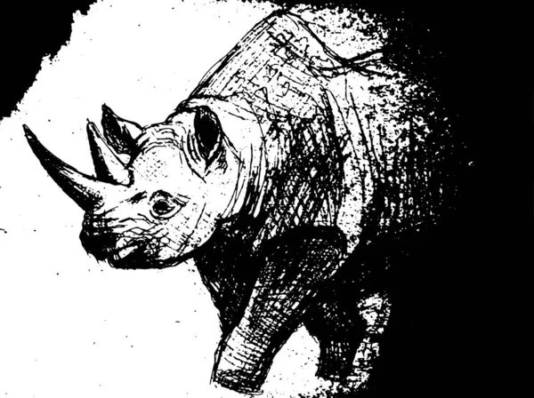 Illustration Couleur Rhinocéros Illustration Vectorielle — Image vectorielle