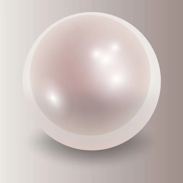 Brillante Perla Blanca Natural Con Efectos Luz — Archivo Imágenes Vectoriales