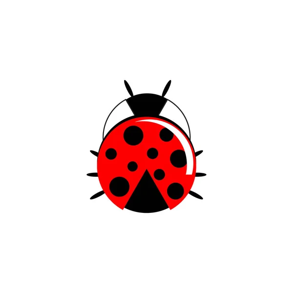 Красивая Ladybird.. Символ чёрного цвета — стоковый вектор