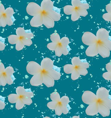 suluboya sıçrama ve tropikal tesisat çiçekleri.