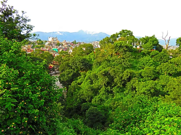 Árvores Verdes Exuberantes Que Cobrem Rio Bagmati Com Katmandu Fundo — Fotografia de Stock